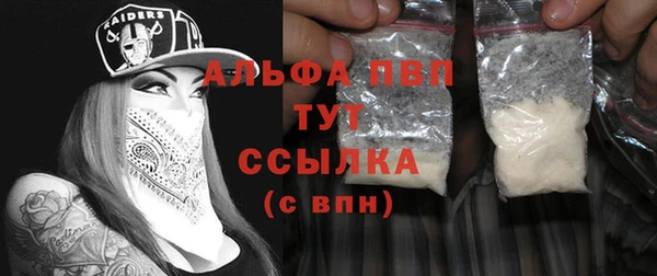 гашик Дмитров