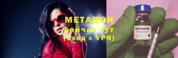гашик Дмитров