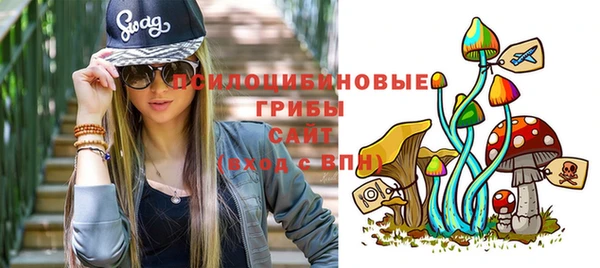 мескалин Гусев