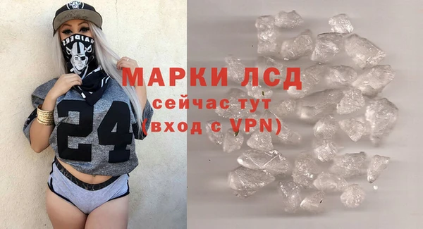 гашик Дмитров