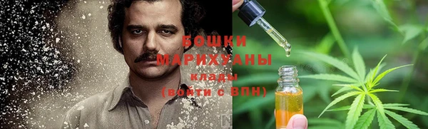 гашик Дмитров